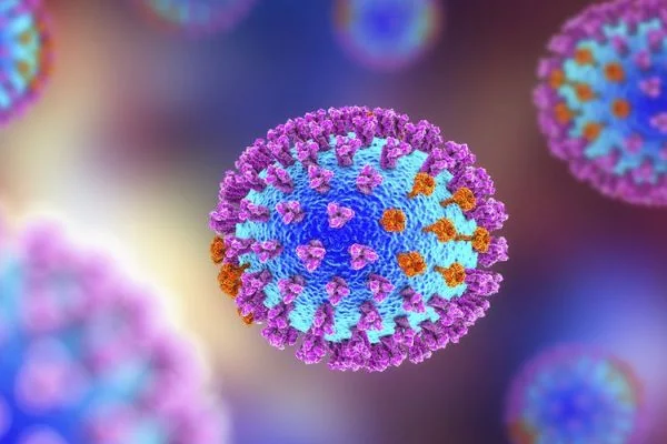 Ilustrasi virus (Dok : Int).