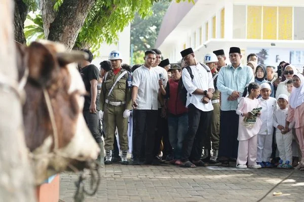 Bobby Nasution Salat Iduladha di Binjai, Pemprov Sumut Salurkan 167 Hewan Kurban
(Foto: Diskominfo Pemprov Sumut)