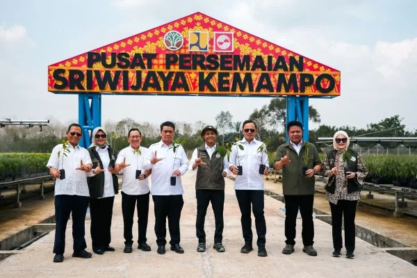 Dukung Penghijauan Nasional, Persemaian Sriwijaya Kemampo Siapkan Pasokan Bibit Berkualitas (Foto: Ist)