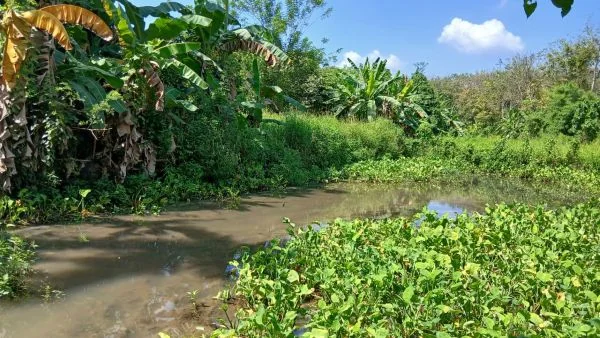 Koalisi Sumatera Terang Desak Presiden Segera Beralih ke Energi Bersih (Foto : Ist)