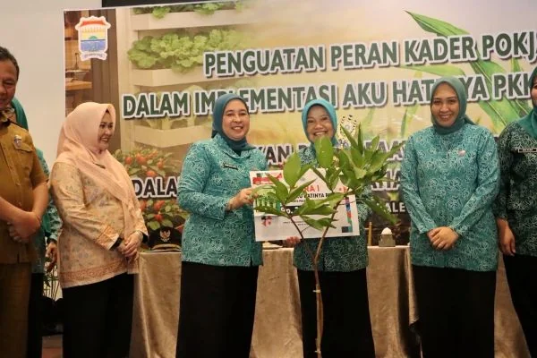 Perkuat Ketahanan Pangan Keluarga, Dewi Sastrani Ajak Warga Manfaatkan Lahan Pekarangan (Foto : Dok Pemkot Palembang)