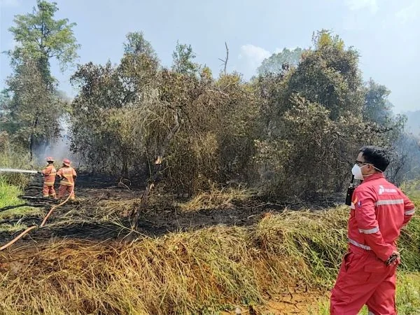 Hadapi Puncak Kemarau, Masyarakat Sekitar Kilang Plaju Dibekali Pelatihan Pemadaman Karhutla (Foto : Dok Pertamina Patra Niaga Kilang Plaju)