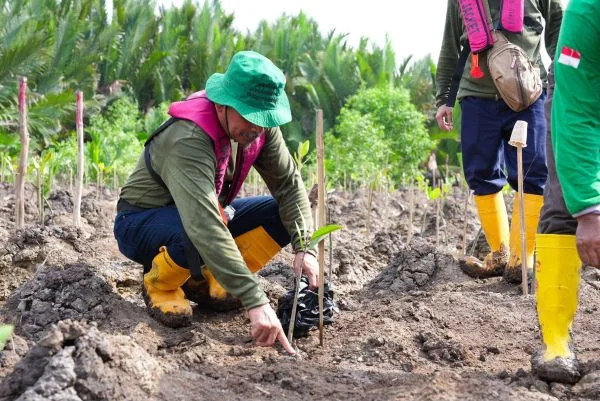 Kilang Plaju Tegaskan Komitmen Jangka Panjang Jaga Ekosistem Pesisir di Hari Mangrove Sedunia (Foto: Dok Pertamina Patra Niaga Kilang Plaju)