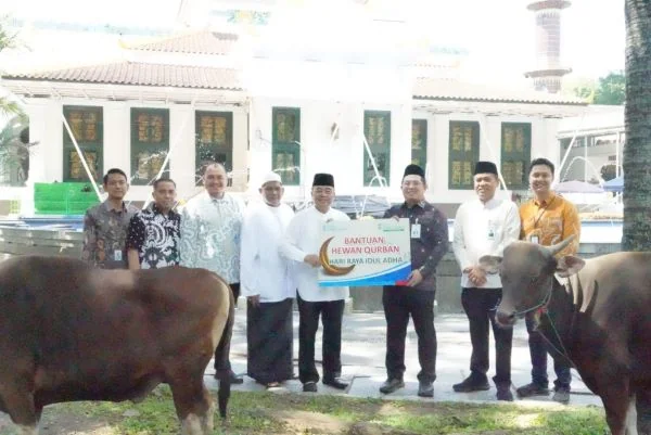 Semangat Iduladha 1447 H, Bank Sumsel Babel Tebar Bantuan Hewan Kurban ke Masyarakat Sumsel dan Babel (Foto : BSB)