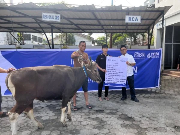 Idul Adha 2026, BRI Region 4 Palembang Salurkan 45 Hewan Kurban ke Sumsel, Jambi, dan Babel
(Foto: BRI Region 4)