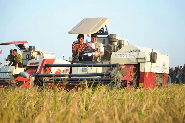 Kompak, Herman Deru Bersama Pangdam dan Kapolda Sumsel Ikuti Panen Raya TNI di OKI (Foto :Dok Pemprov Sumsel)