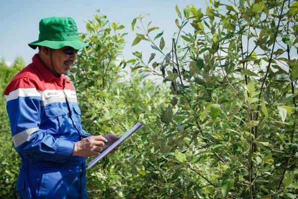 Wujudkan Ekowisata Berkelanjutan, Pertamina Patra Niaga Gandeng Warga Sungsang IV Jaga Kelestarian Pesisir
(Foto : Pertamina Patra Niaga Kilang Plaju)