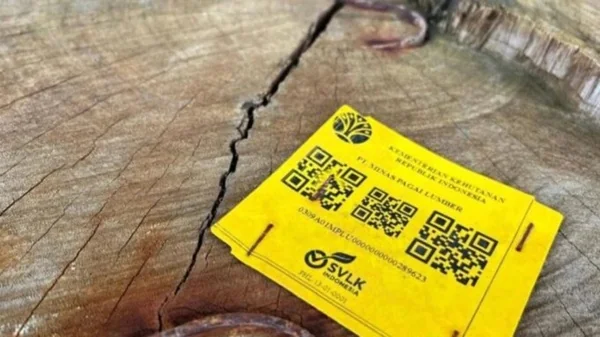 Kayu gelondongan yang ditemukan terdampar di pesisir Kabupaten Pesisir Barat, Lampung (Dok : Int).
