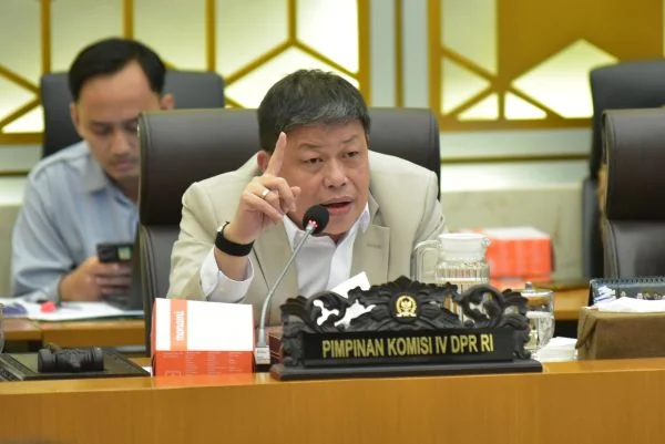 Wakil Ketua Komisi IV DPR RI Alex Indra Lukman (Dok : Ist).