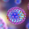 Kemenkes Temukan Flu Babi di Pedalaman Riau, 5 Anak Meninggal