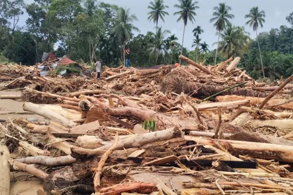 Setelah Inspeksi Udara, KLH Hentikan Operasional 3 Perusahaan di Hulu Batang Toru