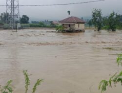 Jalan Nasional Aceh Terputus di Banyak Titik, BNPB Kerahkan Alat Berat