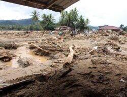 Update Korban Bencana Hidrometeorologi di Sumatera: 174 Meninggal Dunia, 79 Hilang dan 12 Luka-Luka