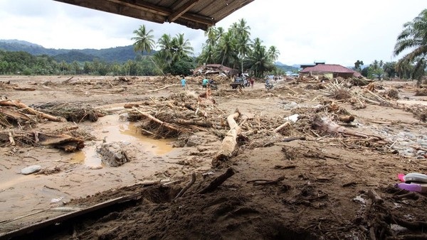 Update Korban Bencana Hidrometeorologi di Sumatera: 174 Meninggal Dunia, 79 Hilang dan 12 Luka-Luka