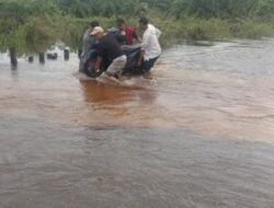 Banjir Meluas di Aceh: 9 Kabupaten Terendam, 46 Ribu Warga Terdampak