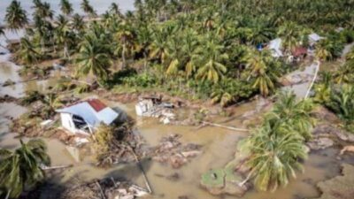 89.582 Hektare Sawah Rusak Parah Akibat Banjir, Aceh Ajukan Rehabilitasi ke Kementan