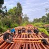 Ekosistem Hutan Terancam, KLH Bongkar Dampak Parah Illegal Logging di Inhu