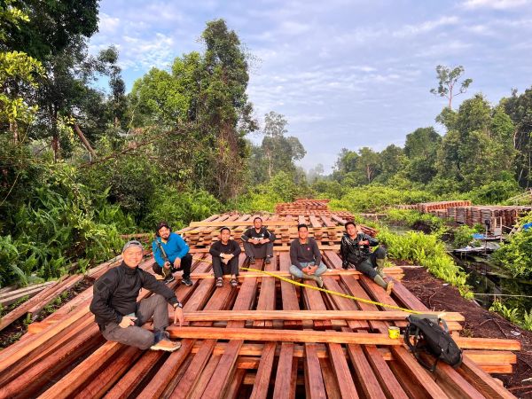 Ekosistem Hutan Terancam, KLH Bongkar Dampak Parah Illegal Logging di Inhu