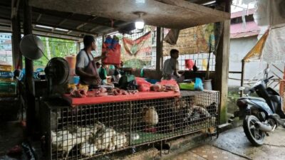 Harga Pangan di Pekanbaru Naik Jelang Akhir 2025, Ayam Tembus Rp37 Ribu per Kilogram