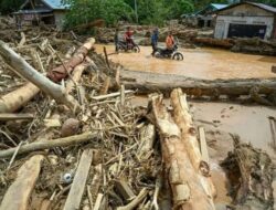 Investigasi Banjir Sumatra: Menteri LH Ancam Pidana Pelaku Pembuangan Kayu ke Sungai