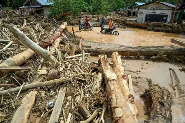 Investigasi Banjir Sumatra: Menteri LH Ancam Pidana Pelaku Pembuangan Kayu ke Sungai
