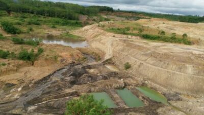 Tak Direklamasi Perusahaan, Pemprov Bengkulu Ambil Alih Penghijauan Hutan Bekas Tambang