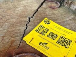 Kayu Gelondongan Berbarcode Kemenhut Ditemukan di Pantai, Polda Lampung Intensifkan Penelusuran