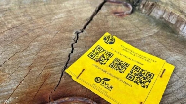 Kayu Gelondongan Berbarcode Kemenhut Ditemukan di Pantai, Polda Lampung Intensifkan Penelusuran