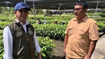 Pulihkan Tesso Nilo, Menhut Siapkan Bibit Pohon Pengganti Sawit