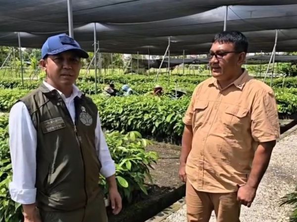 Pulihkan Tesso Nilo, Menhut Siapkan Bibit Pohon Pengganti Sawit