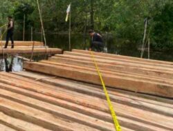 Polisi Gerebek Lokasi Penebangan Liar di Meranti, Pelaku dan 8 Ton Kayu Diamankan