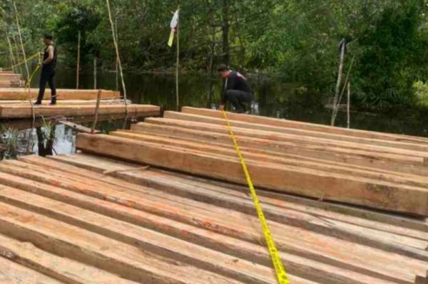 Polisi Gerebek Lokasi Penebangan Liar di Meranti, Pelaku dan 8 Ton Kayu Diamankan