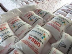 Penyelewengan Pupuk Subsidi di Lampung Tengah Terbongkar, 3 Orang Jadi Tersangka