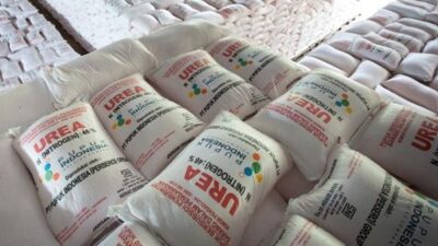Penyelewengan Pupuk Subsidi di Lampung Tengah Terbongkar, 3 Orang Jadi Tersangka