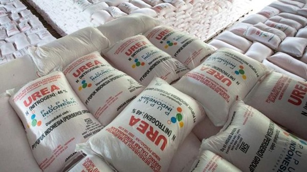 Penyelewengan Pupuk Subsidi di Lampung Tengah Terbongkar, 3 Orang Jadi Tersangka