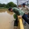Jalan Provinsi Sontang–Duri Terendam Banjir, PUPR Riau Akan Pasang Box Culvert