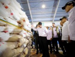 Sidak di Karimun, Mentan Amran Temukan 1.000 Ton Beras Ilegal
