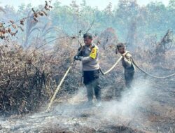 10 Daerah di Riau Dilanda Karhutla, Picu 200 Titik Panas
