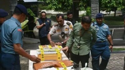 TNI AL Gagalkan Penyelundupan 445 Kulit Ular Piton di Pelabuhan Bakauheni