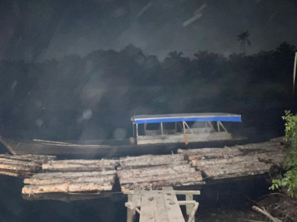 Pembalakan Liar di Sungai Nibung Terbongkar, Tiga Pelaku Diamankan