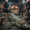 Buaya 2,2 Meter Muncul di Permukiman Warga Inhil, Ini Kronologinya