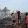 Karhutla Hanguskan 10 Hektare Lahan di Rupat Bengkalis, 43 Hotspot Terpantau Satelit