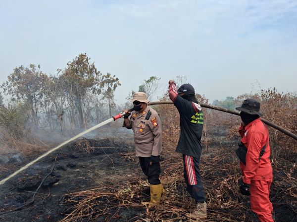 Karhutla Hanguskan 10 Hektare Lahan di Rupat Bengkalis, 43 Hotspot Terpantau Satelit