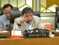 Kasus Gajah Sumatera Tewas Tanpa Kepala, DPR Minta Perlindungan Satwa Gunakan Teknologi