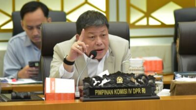 Kasus Gajah Sumatera Tewas Tanpa Kepala, DPR Minta Perlindungan Satwa Gunakan Teknologi
