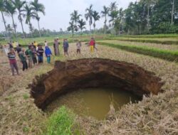 Muncul di Kawasan Vulkanik, Fenomena Tanah Ambles Membentuk Sinkhole di Sumbar