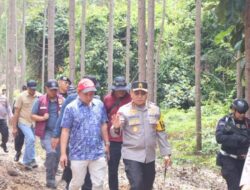 Kasus Pembunuhan Gajah Sumatera di Riau, Polisi Gunakan Investigasi Kejahatan Ilmiah Ungkap Pemburu