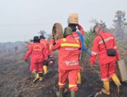 Curah Hujan Menurun, Riau Usulkan Siaga Darurat Karhutla