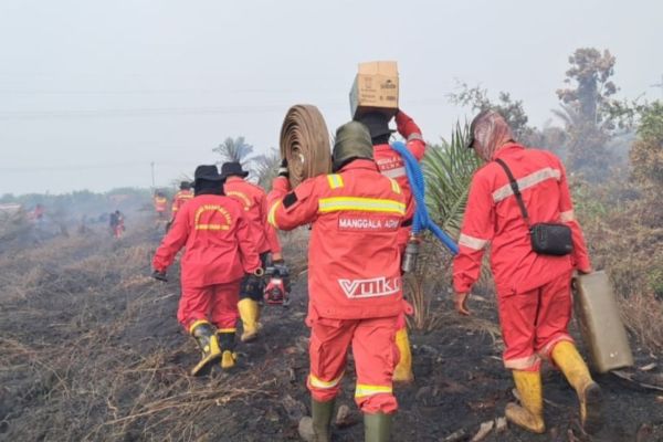 Curah Hujan Menurun, Riau Usulkan Siaga Darurat Karhutla