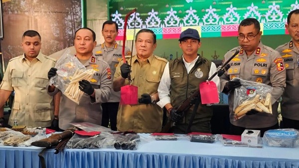 Gading Dijual hingga Rp125 Juta, Polisi Bongkar Sindikat Perburuan Gajah di Riau
